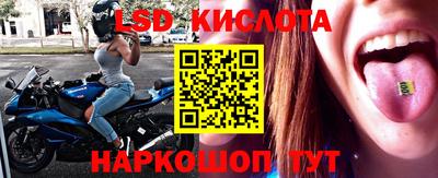 apvp Нальчик