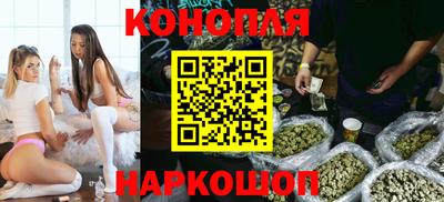 apvp Нальчик