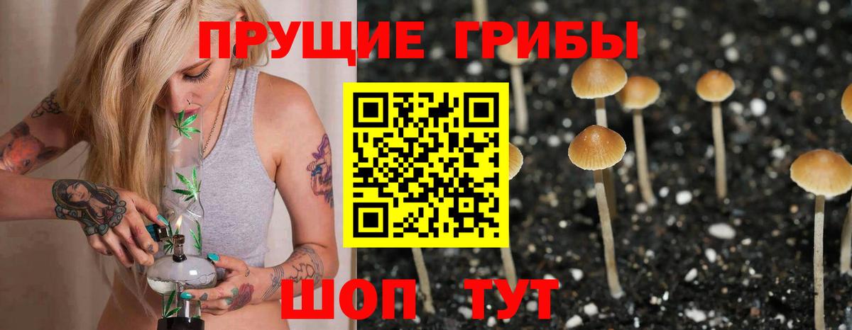 Среднеуральск  Галлюциногенные грибы мухоморы  Вход с VPN 